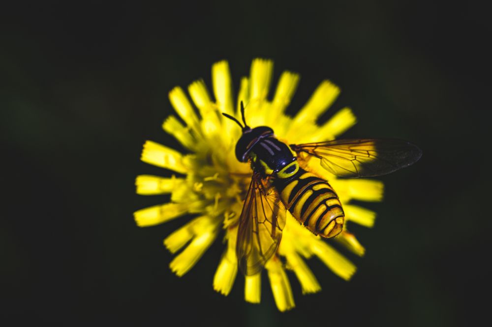 Фотография автора Ирина Гриценко