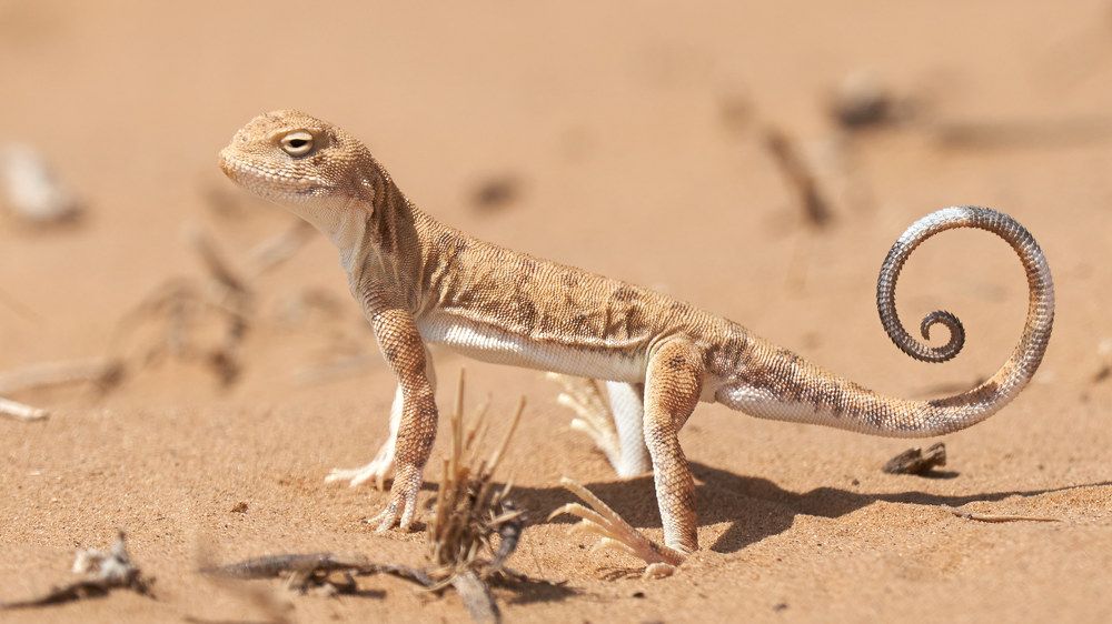 Photograph by Victor Krachkovsky