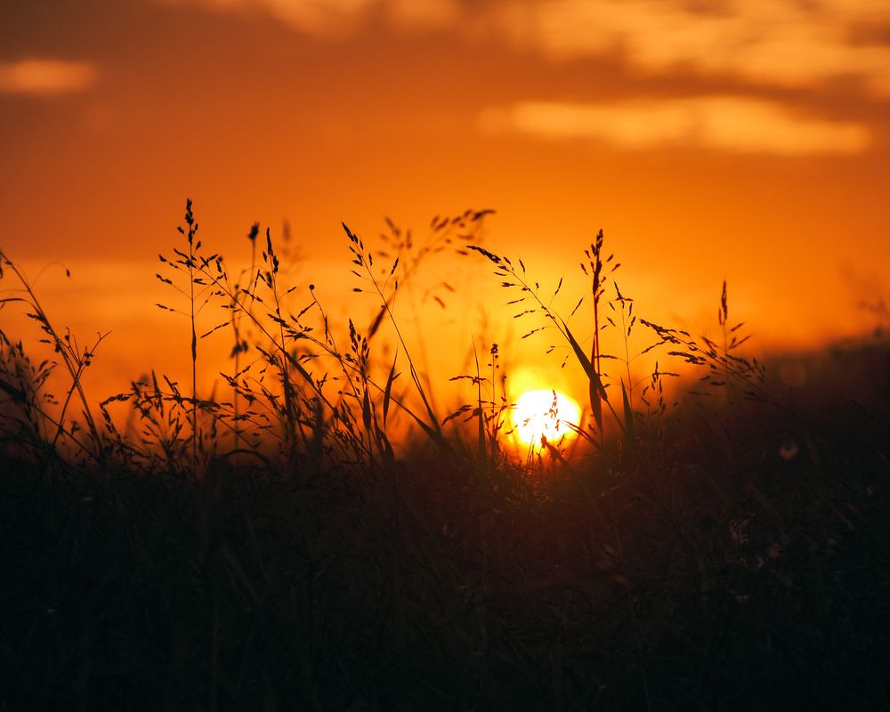 Photograph by Татьяна Кравченко