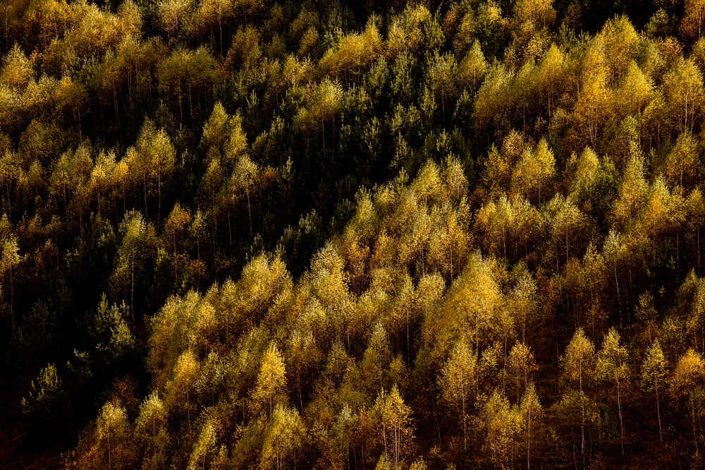 Photograph by Мария Раздорова