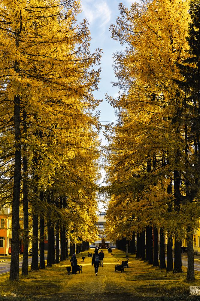 Фотография автора Алексей Крючков