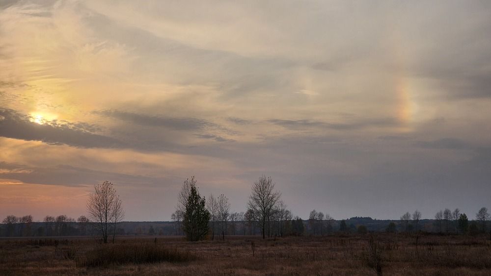 Фотография автора Александр Ахоньков