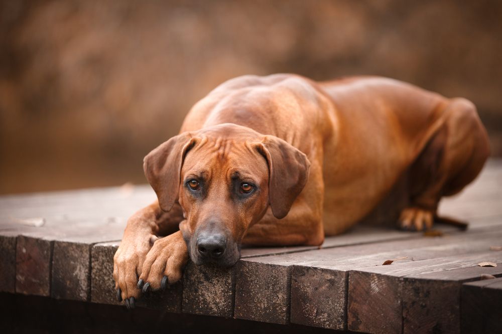 Photograph by Евгения Костусева