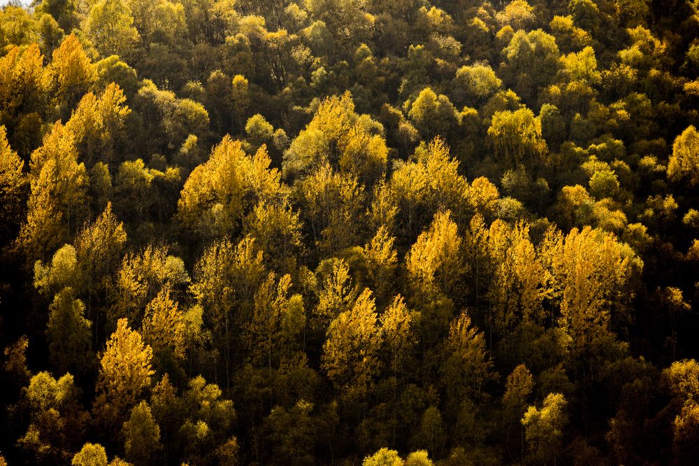 Photograph by Мария Раздорова