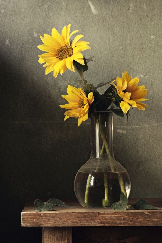 Photograph by Вышарь Максим