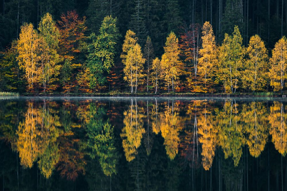 Photograph by Adrian Grigore