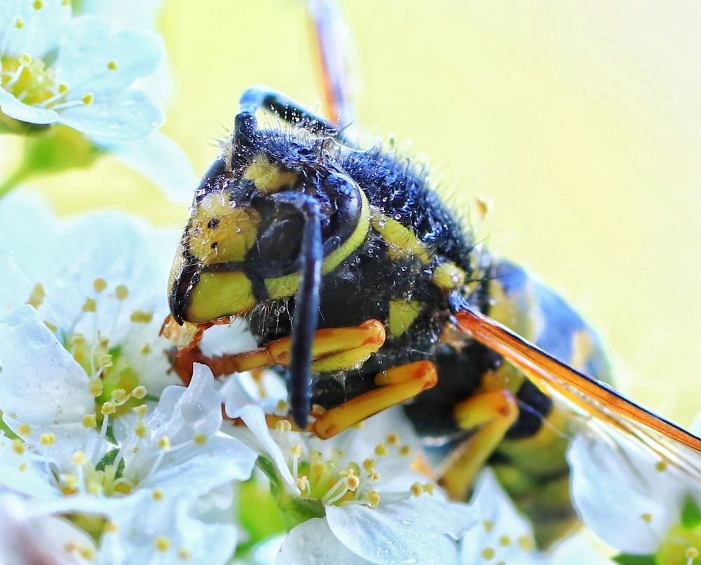 Photograph by Olga Asson