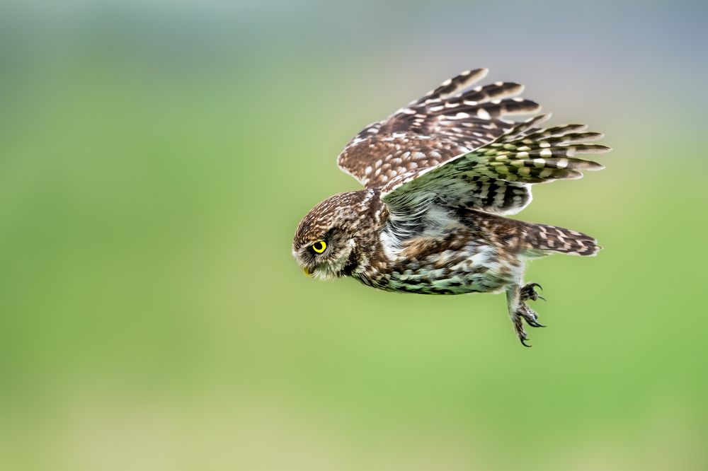 Photograph by Ruzhdi Ibrahimi