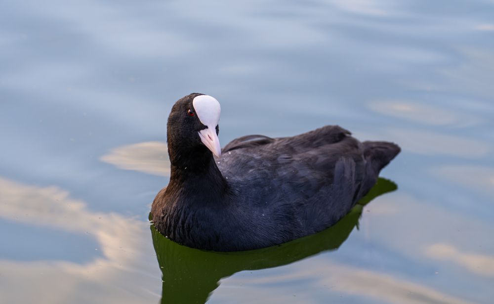 Photograph by Кристина Дегтярёва