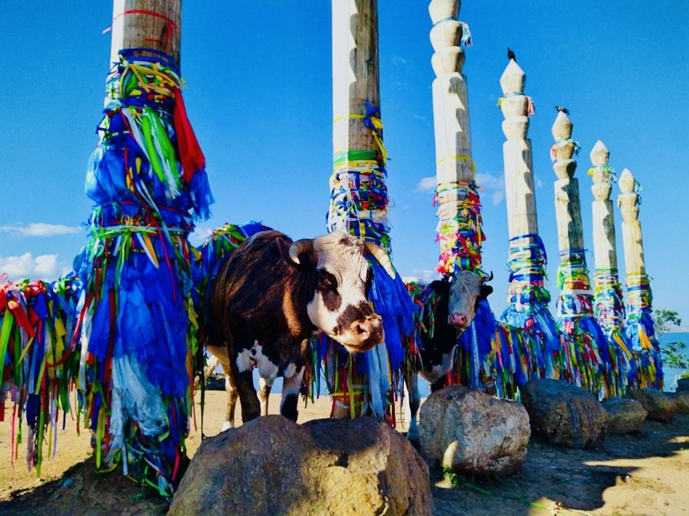 Photograph by ЗОЯ МЕДВЕДЕВА