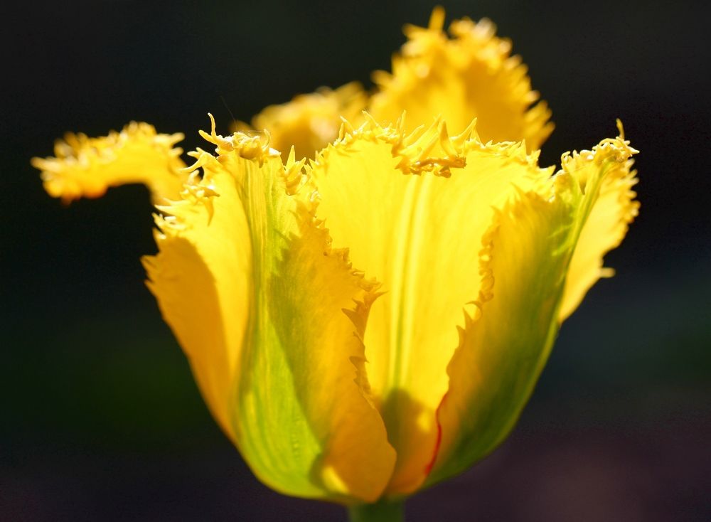 Photograph by Любовь Саханова