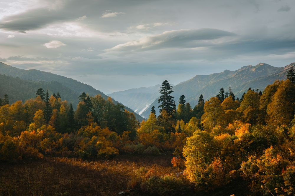 Photograph by Шишкалов Константин