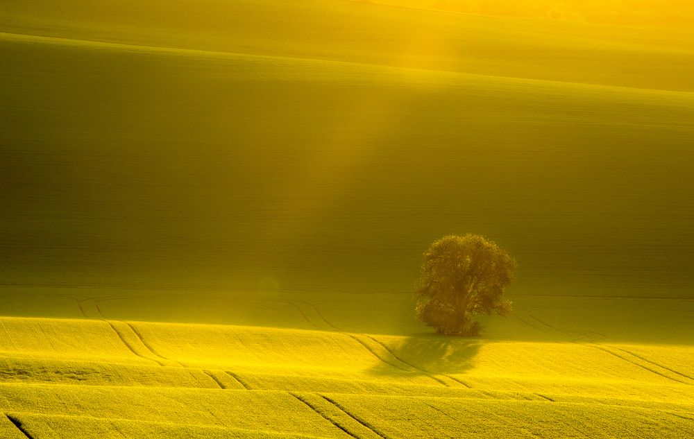 Photograph by ПАВЕЛ