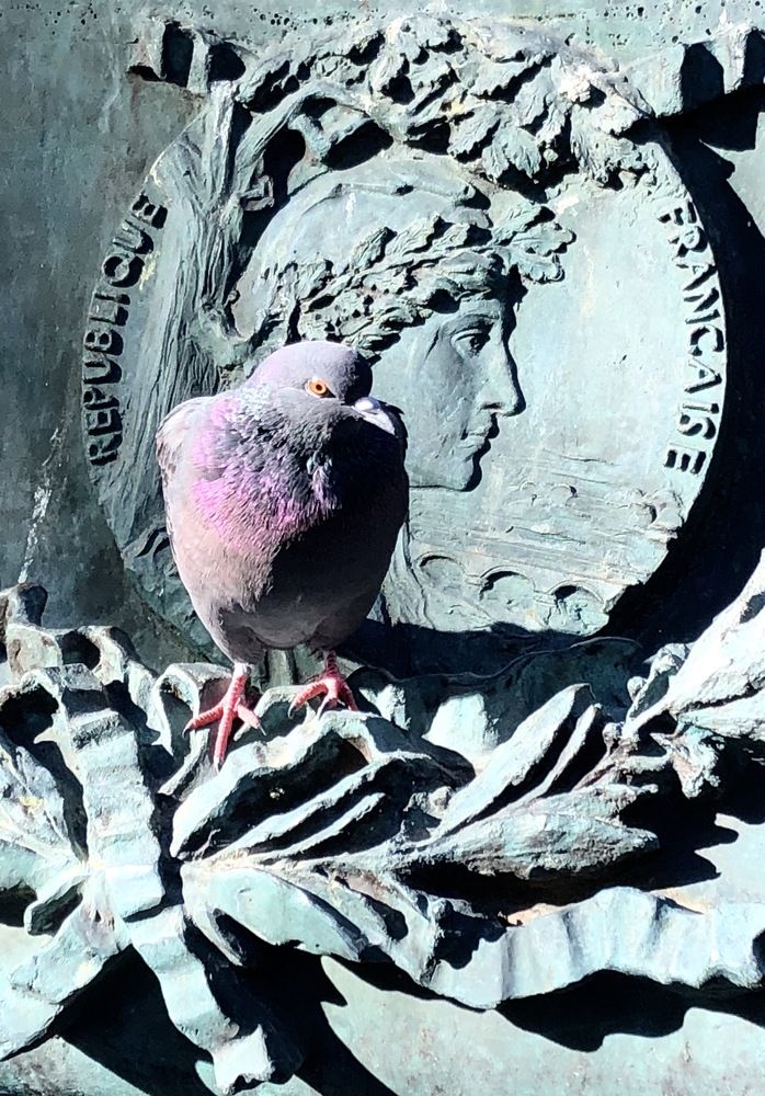 Photograph by Екатерина Балакина