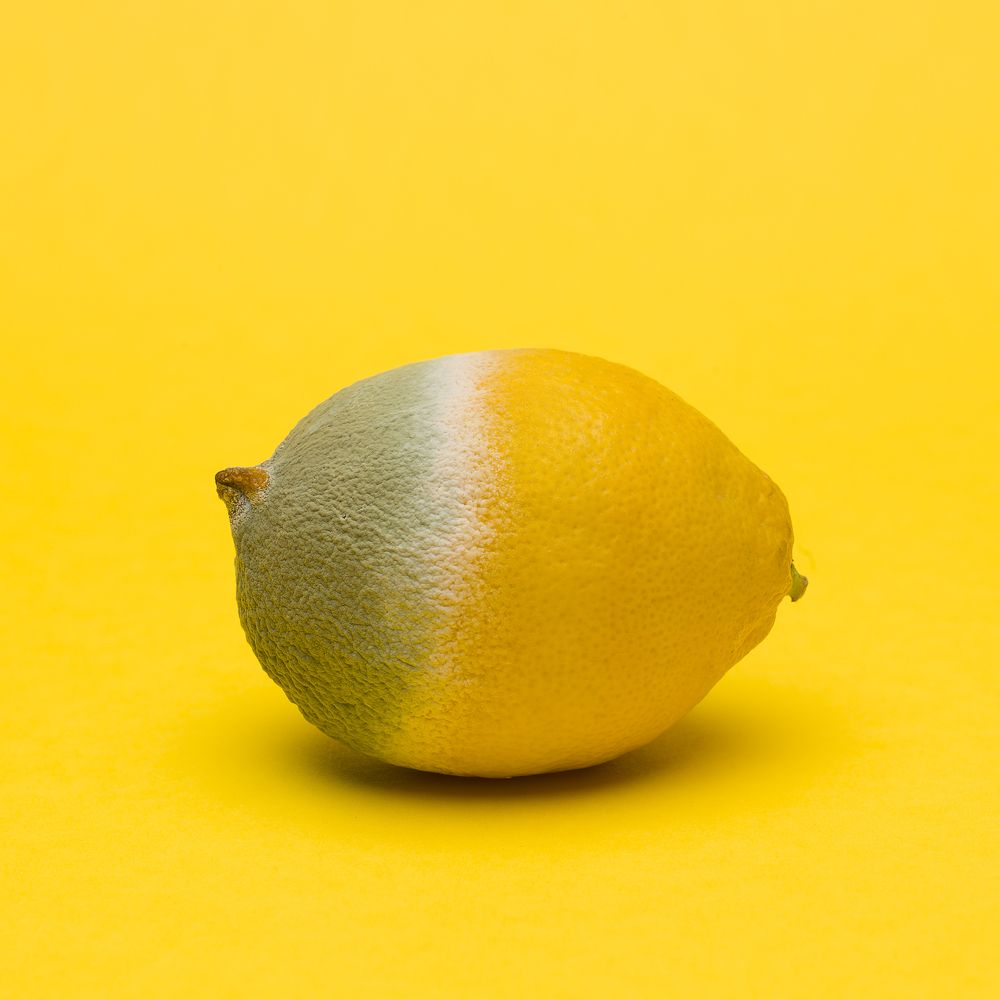 Photograph by Dar Veter