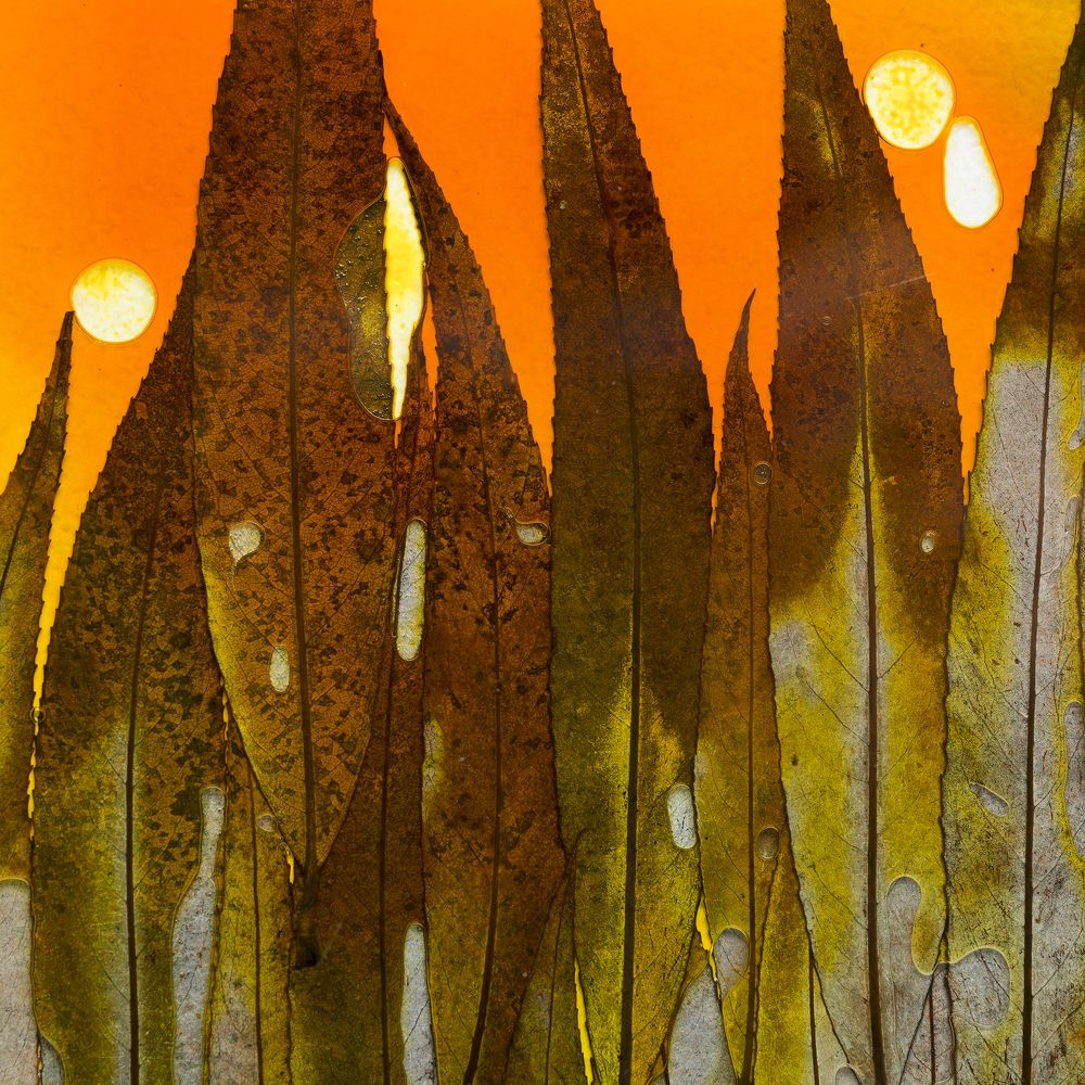 Photograph by Dar Veter