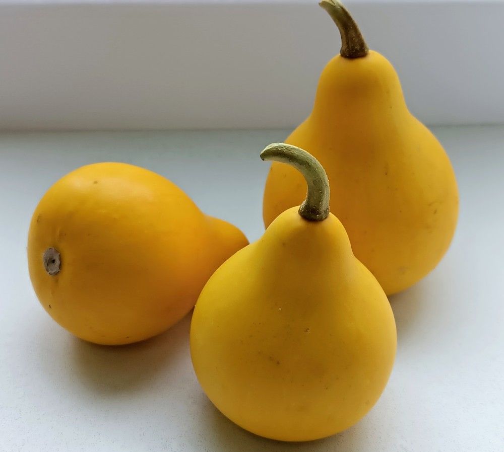 Photograph by Сидорова Ирина