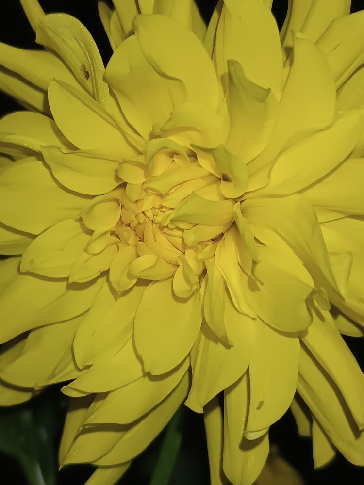 Photograph by Сидорова Ирина