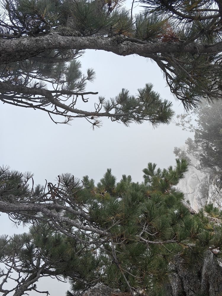 Photograph by Светлана Зыкова