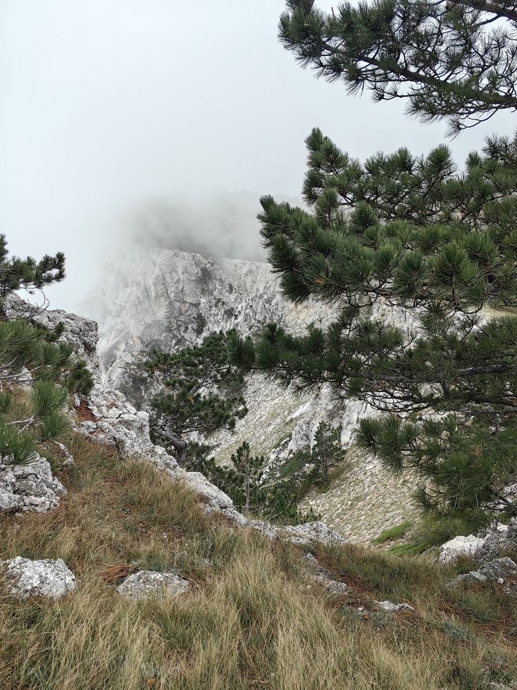 Photograph by Светлана Зыкова