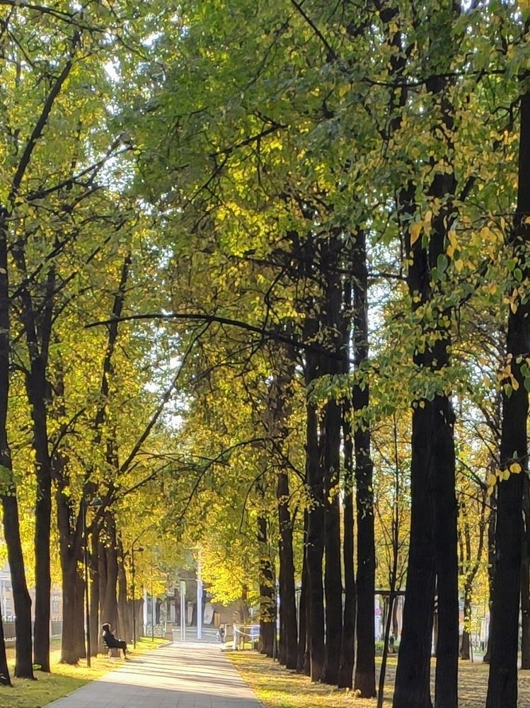 Photograph by Анна Андреевна