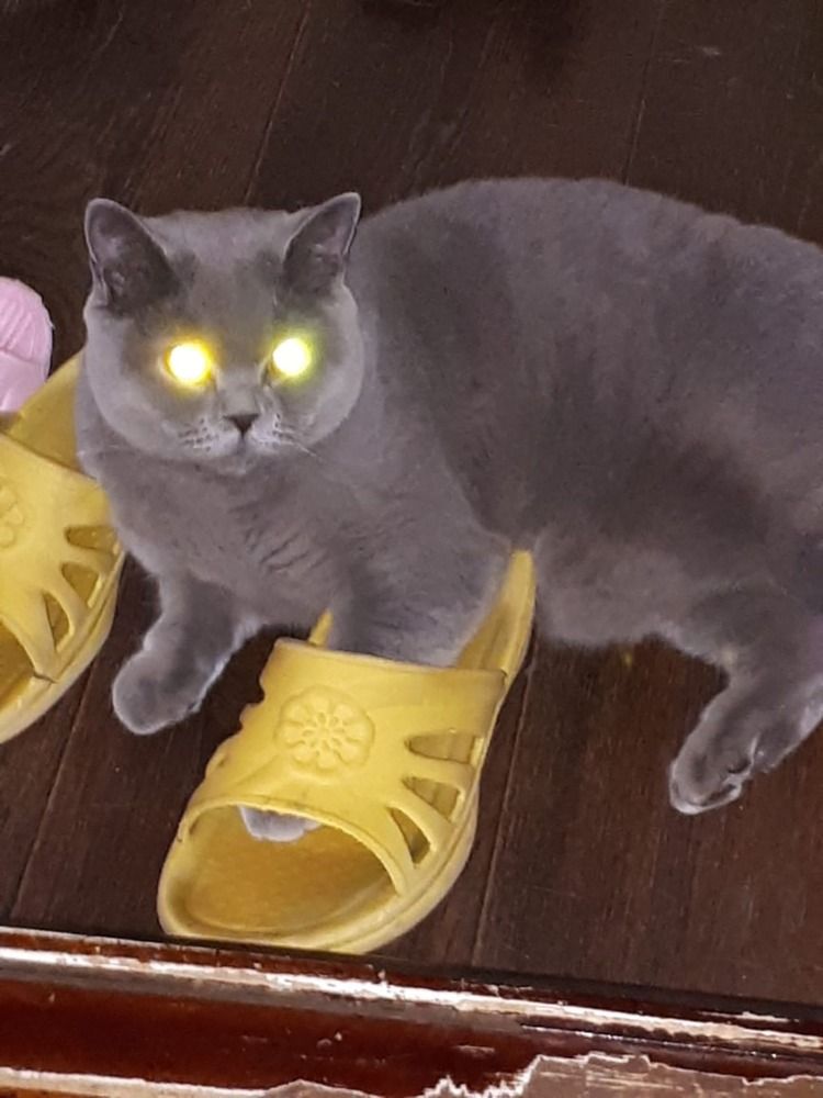 Photograph by Людмила Ковалева