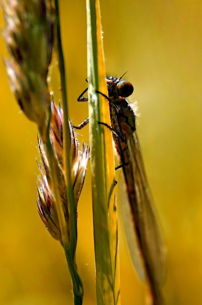 Photograph by Татьяна Слесарева