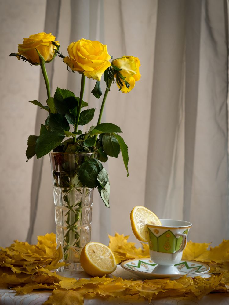 Photograph by Маргарита Ивкова