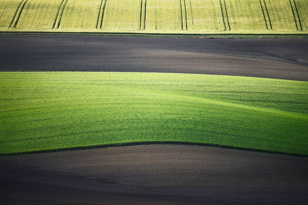 Photograph by dario camasso