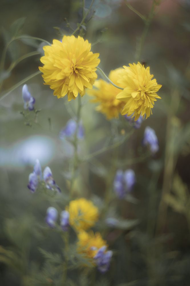 Фотография автора Мария Обидина