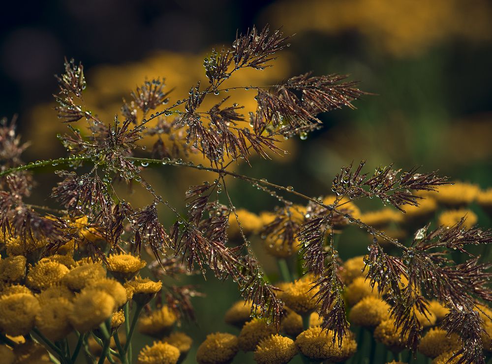 Photograph by Natalia Bolotenkova
