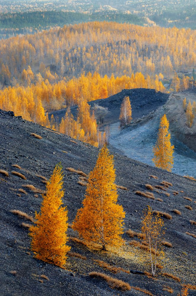 Photograph by Павел Козин