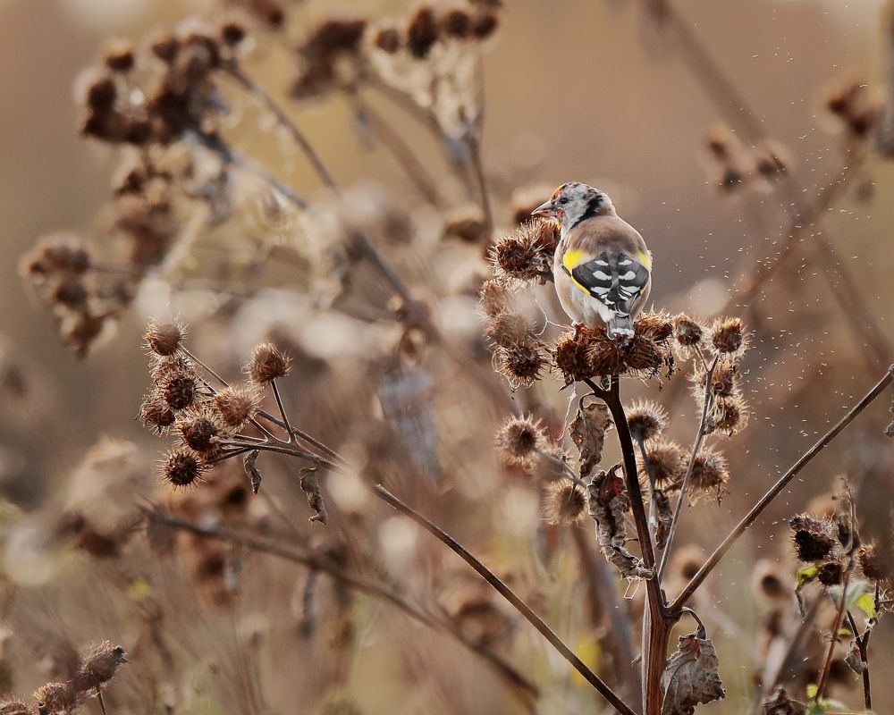 Photograph by Титов Александр
