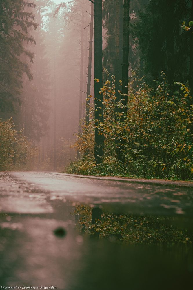 Photograph by Александра Лаврентьева