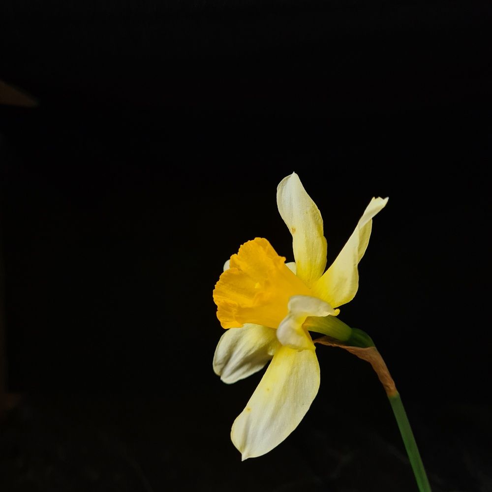 Фотография автора Ирина Дашевская