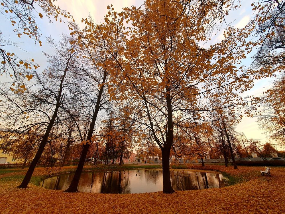 Photograph by Александра Борисовна