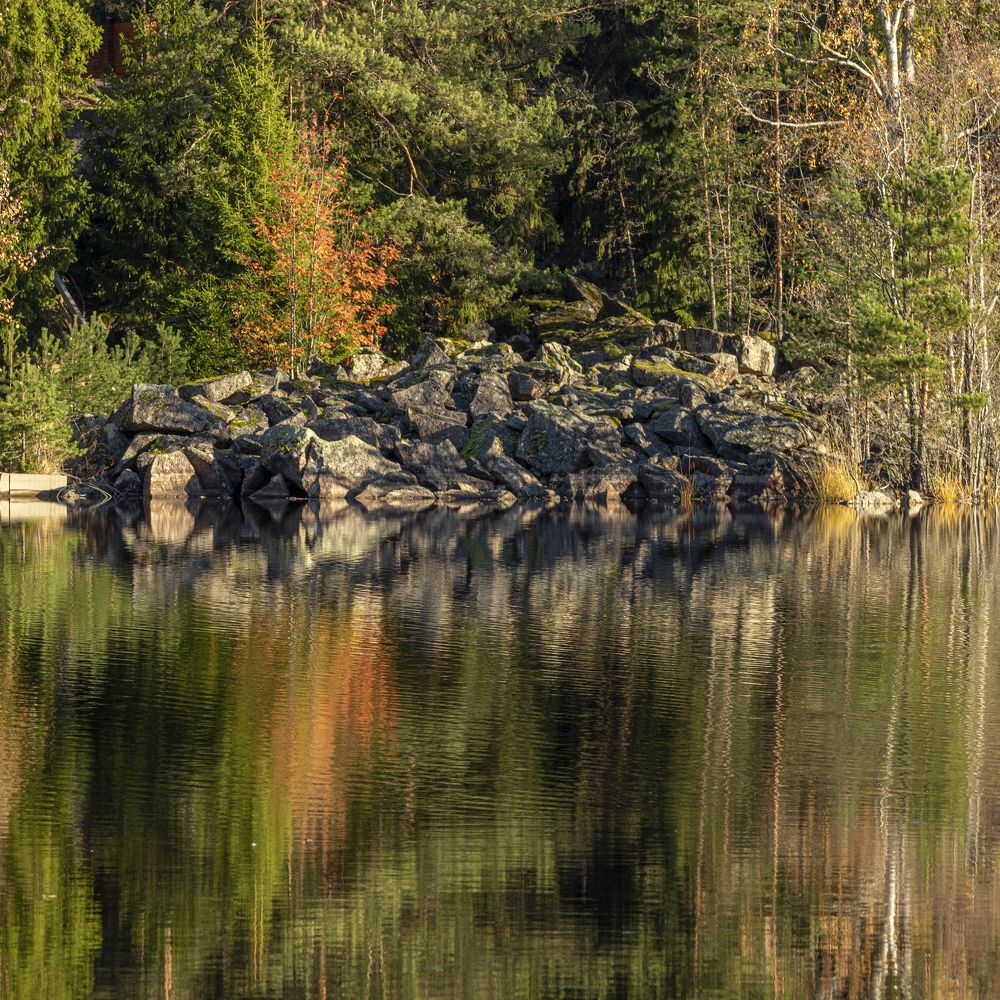 Photograph by Юлия Куликова