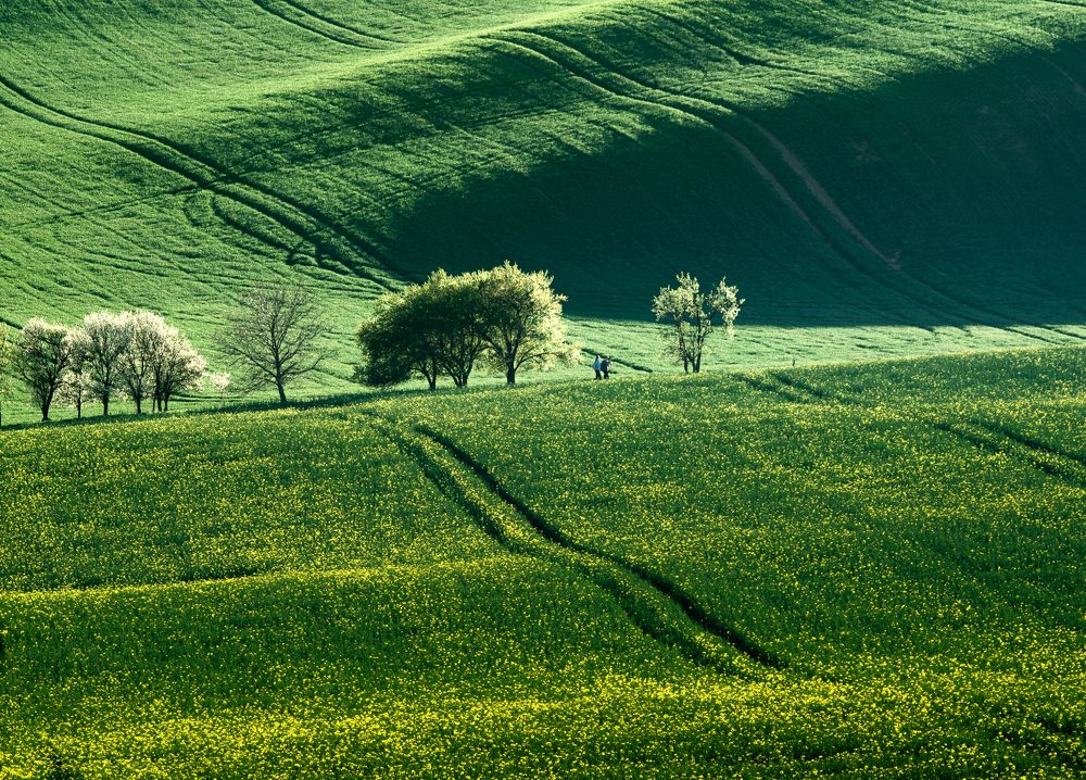 Photograph by ПАВЕЛ