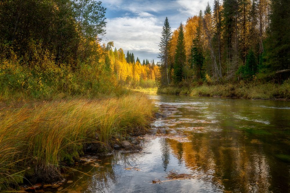 Photograph by Михаил Карпов