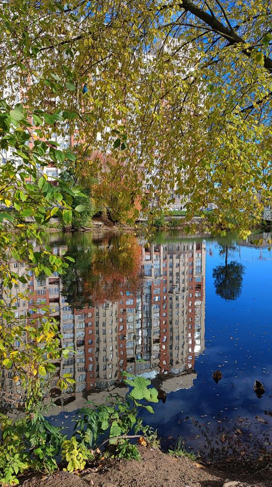 Photograph by Елена Юдина