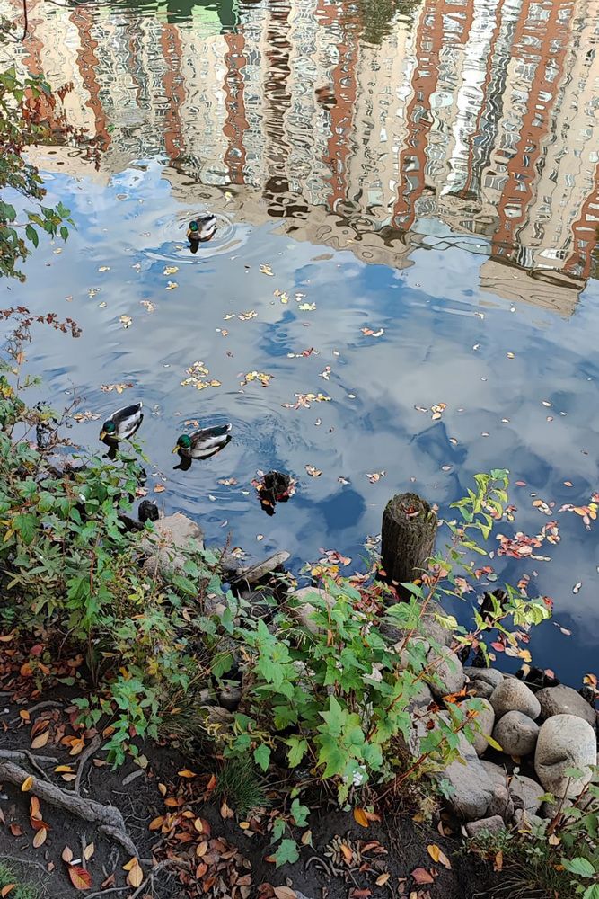 Photograph by Елена Юдина