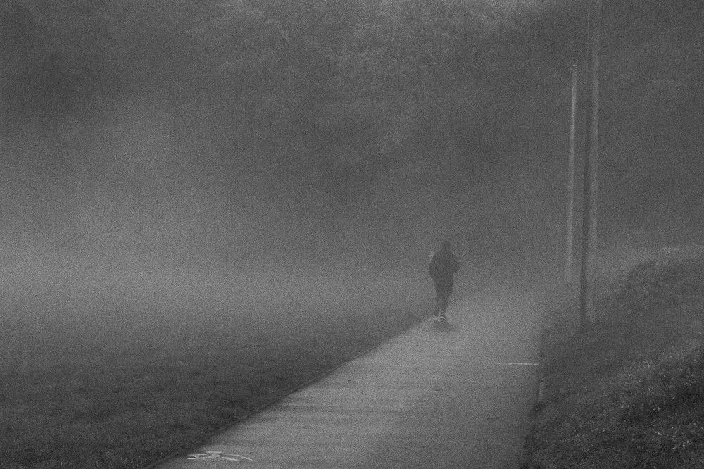 Дорога в призрачный лес.