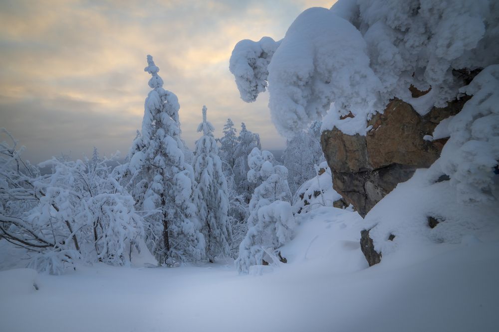 Photograph by Жданов Дмитрий