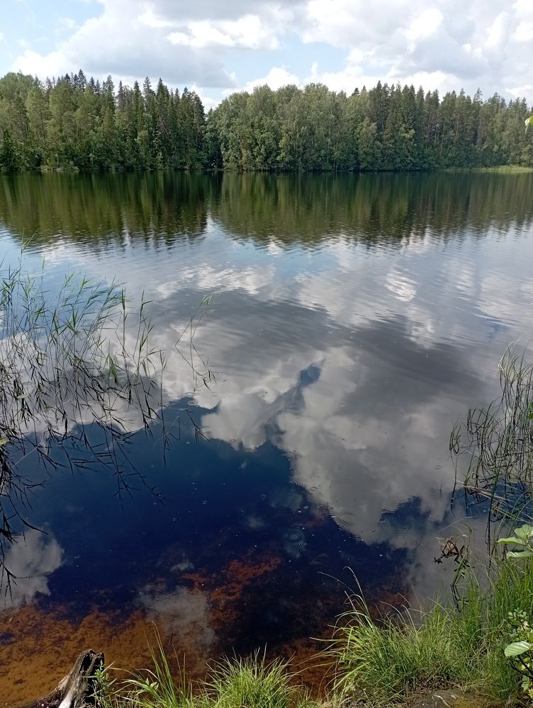 Фотография автора Natalia Khodina