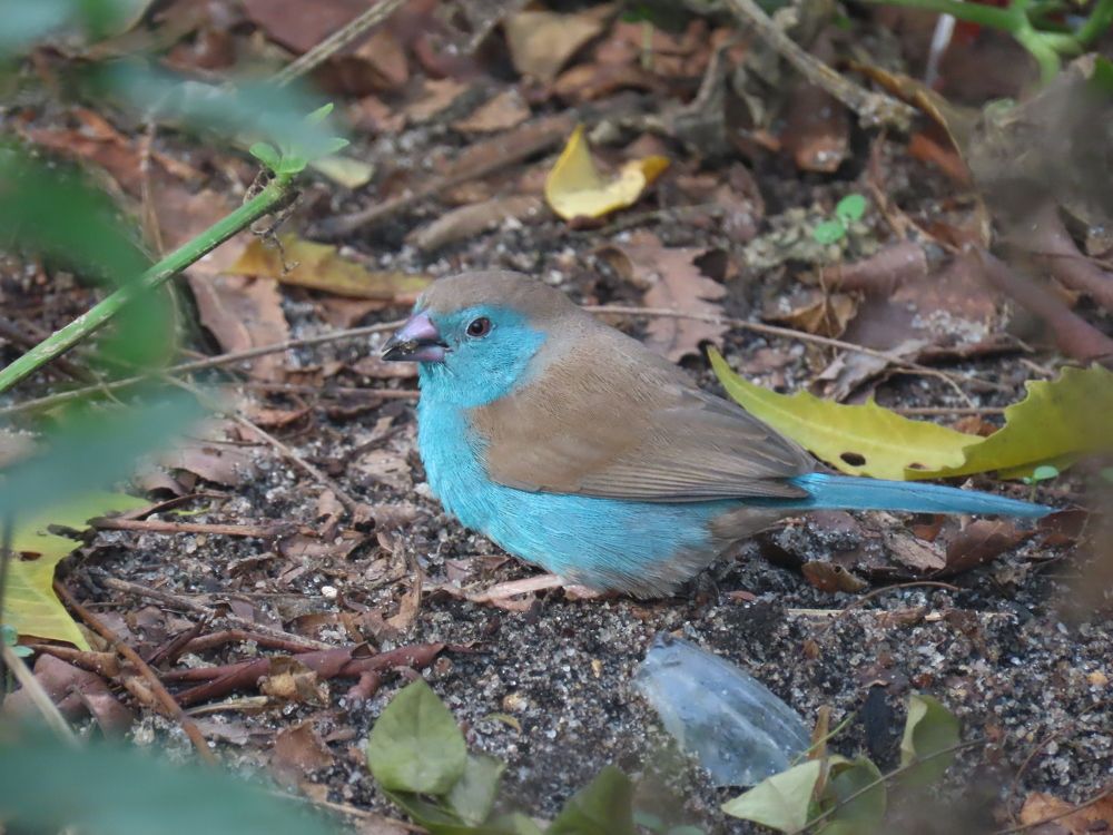 Photograph by mahboube moradalizade