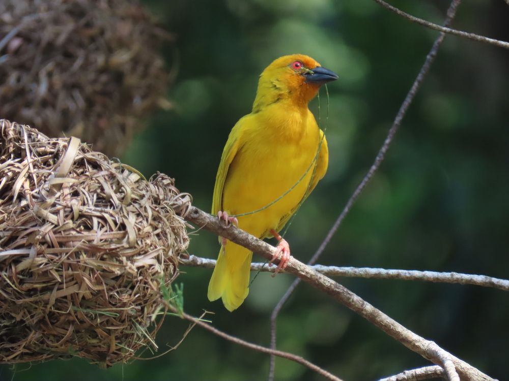 Photograph by mahboube moradalizade