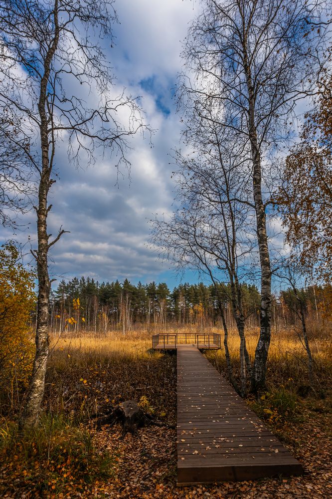 Фотография автора Rom@shkin