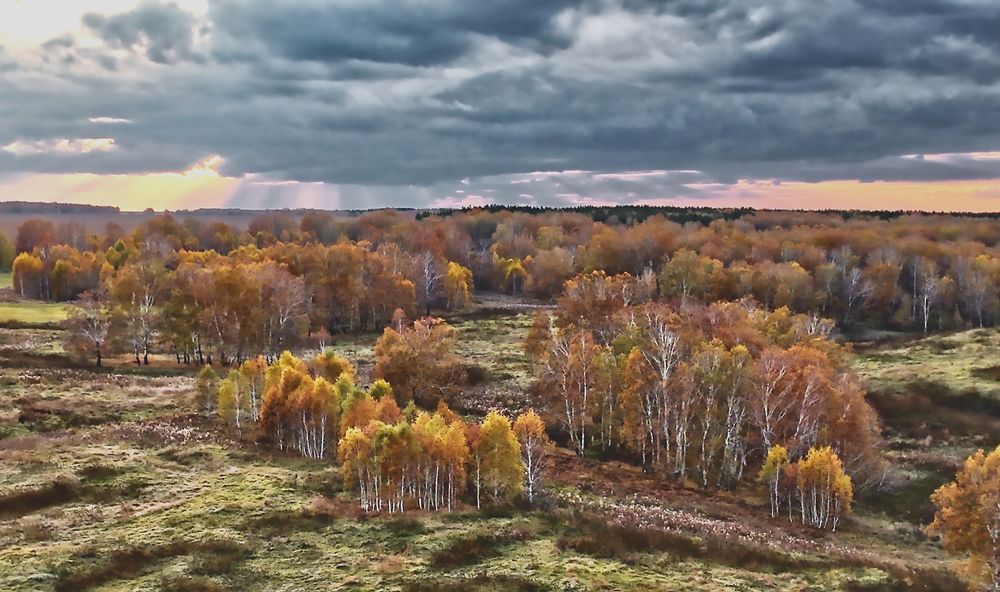На склонах Осиновки