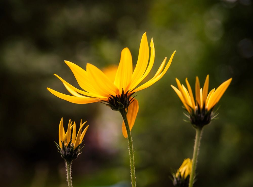 Photograph by Алексей Патрушев