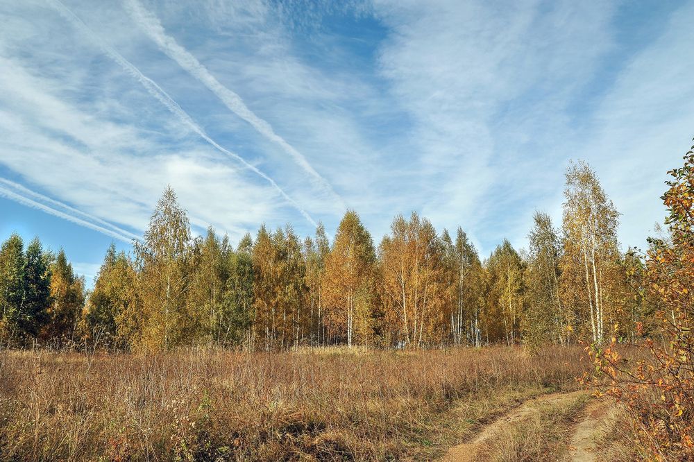 Photograph by Cергей Абакумов
